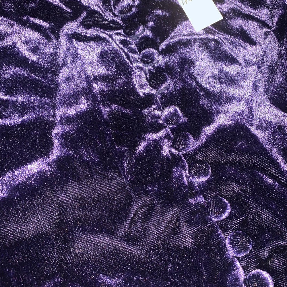 Madewell Deep Blue Velvet Camisole - Picture 5 of 5